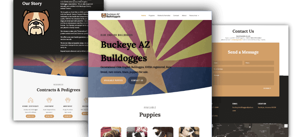 Web Design portfolio image of Buckeye AZ Bulldogges
